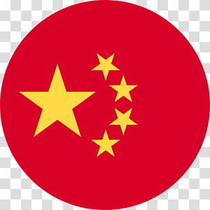 Explore Our Range of Language Courses